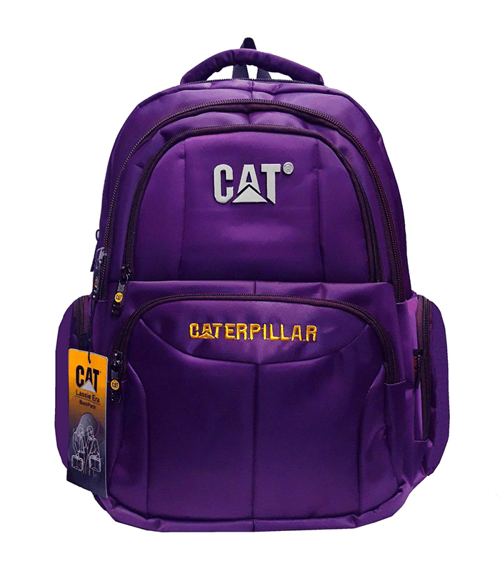 کوله پشتی مدل C295 رنگ بنفش